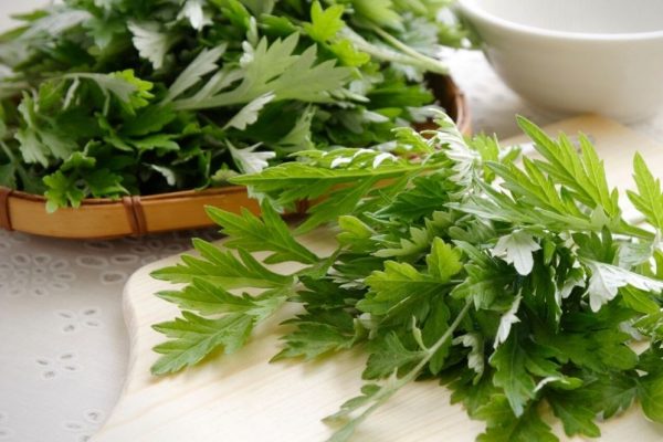 Tắm nước lá ngải cứu cho bé