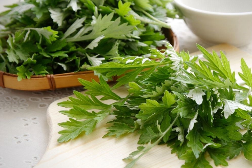 Tắm nước lá ngải cứu cho bé