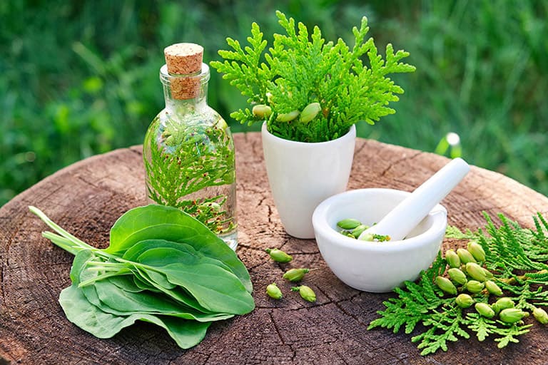 sữa tắm handmade