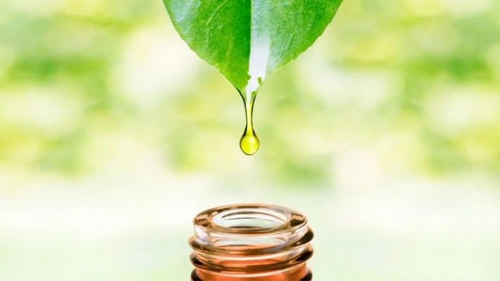 Chè xanh kết hợp với các thảo dược