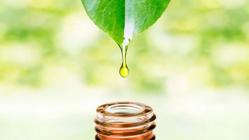 Chè xanh kết hợp với các thảo dược