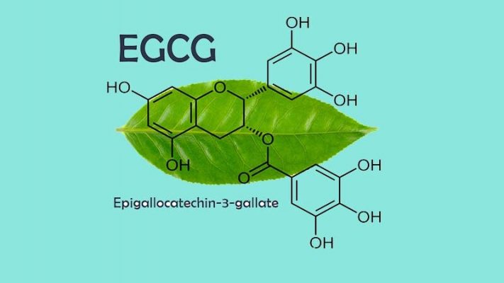 EGCG trong chè xanh