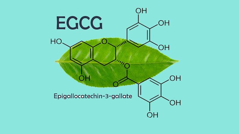 EGCG trong chè xanh