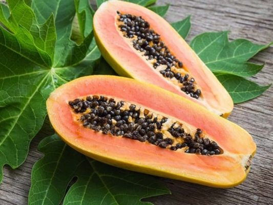 Papain tự nhiên