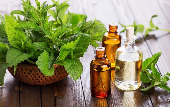 Sữa tắm thảo dược Elemis kết hợp tinh dầu mùi