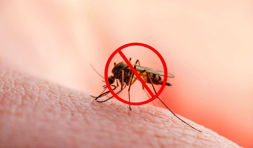 da bé dễ bị muỗi đốt