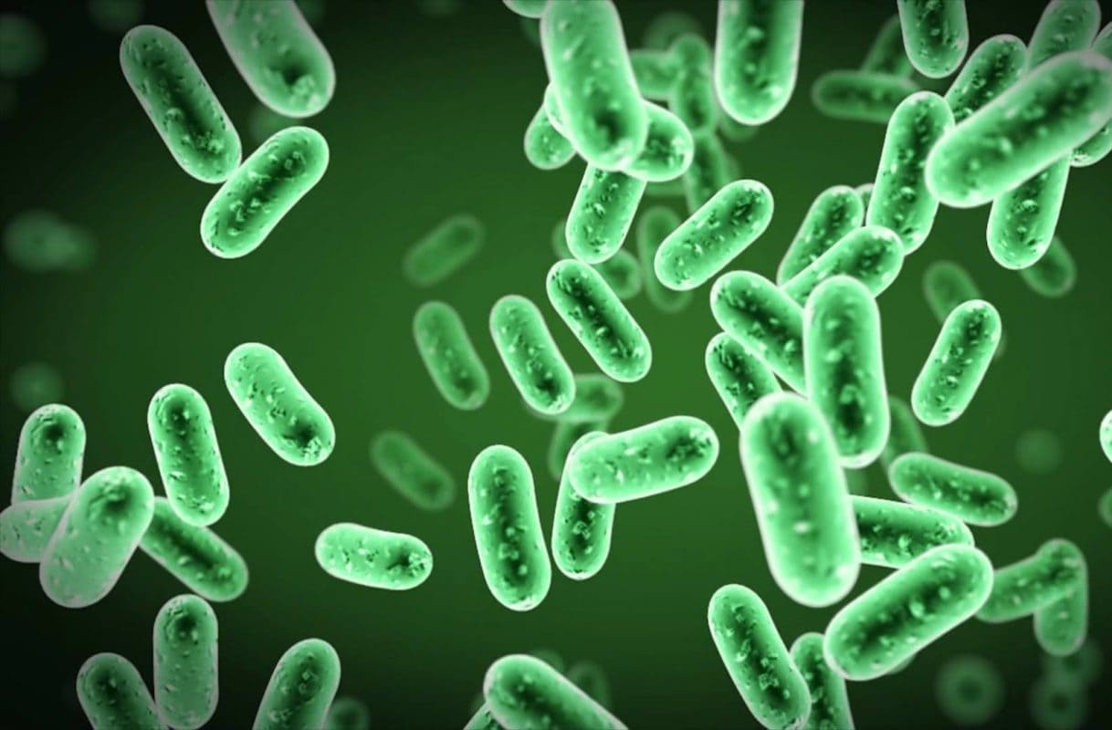 diep-luc-to-chlorophyll