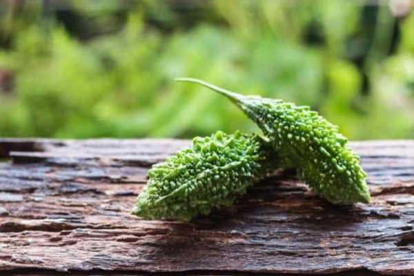 tắm lá khổ qua cho bé